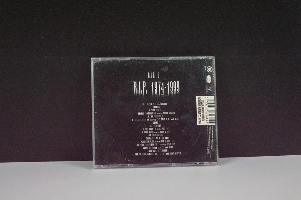 Big L - THE BIG PICTURE